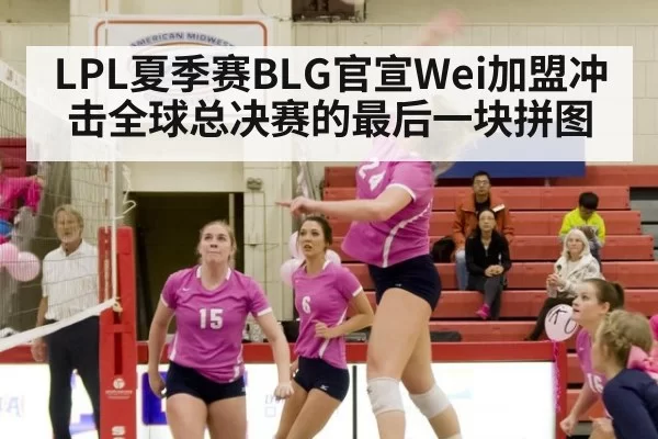 LPL夏季赛BLG官宣Wei加盟冲击全球总决赛的最后一块拼图