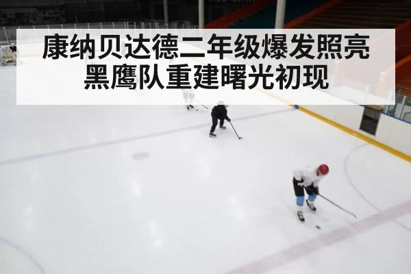 ice hockey game