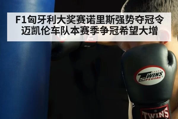 F1匈牙利大奖赛诺里斯强势夺冠令迈凯伦车队本赛季争冠希望大增